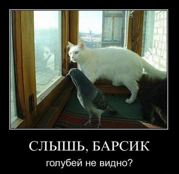 Прикольные демки