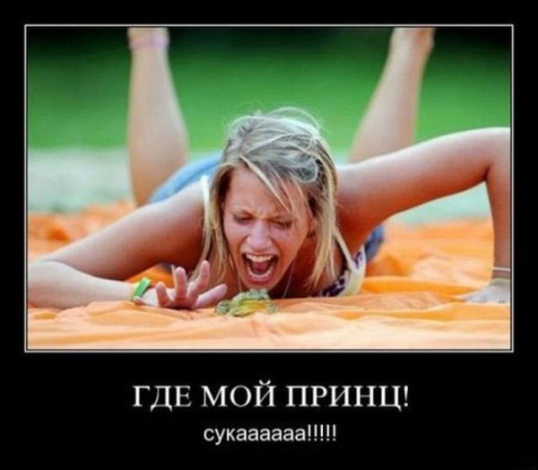 Где мой принц