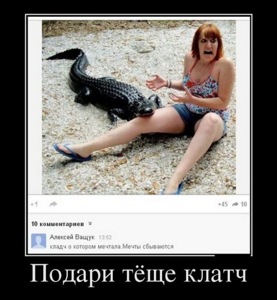 Шутки со смыслом 18