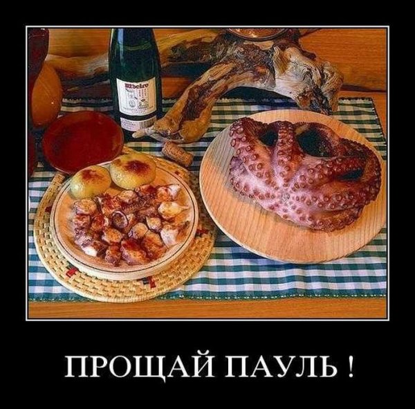 Ржака демовативатор