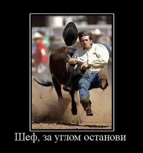 Демотиваторы ржака