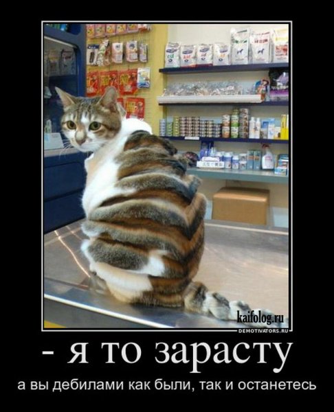 Смешные демотиваторы до слез