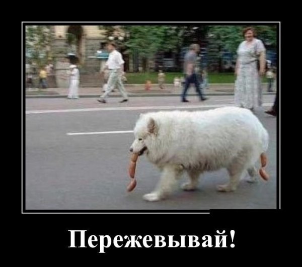 Картинки ржака полная