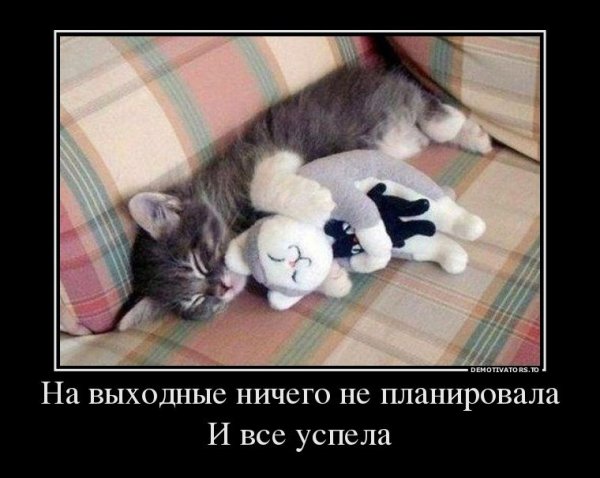 Весёлых выходных картинки