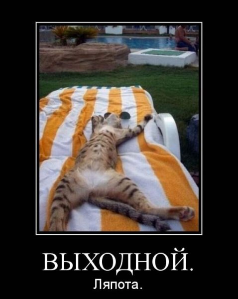 Демотиваторы про выходные