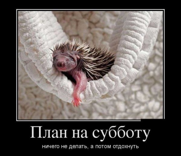 Суббота демотиватор