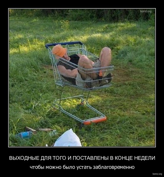 Демотиваторы про выходные
