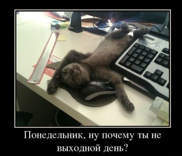 Понедельник выходной