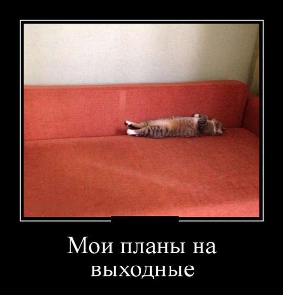 Демотиваторы про выходные