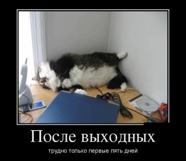 Понедельник демотиваторы