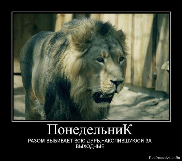 Демотиваторы про понедельник прикольные