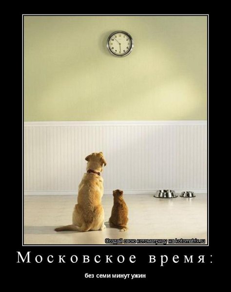 Хороших выходных мотиваторы