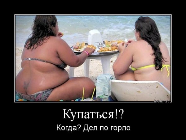 Смешные приколы про толстых