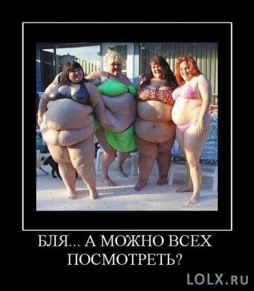 Толстые девушки юмор