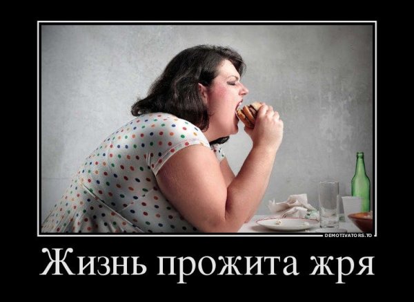 Демотиваторы про лишний вес