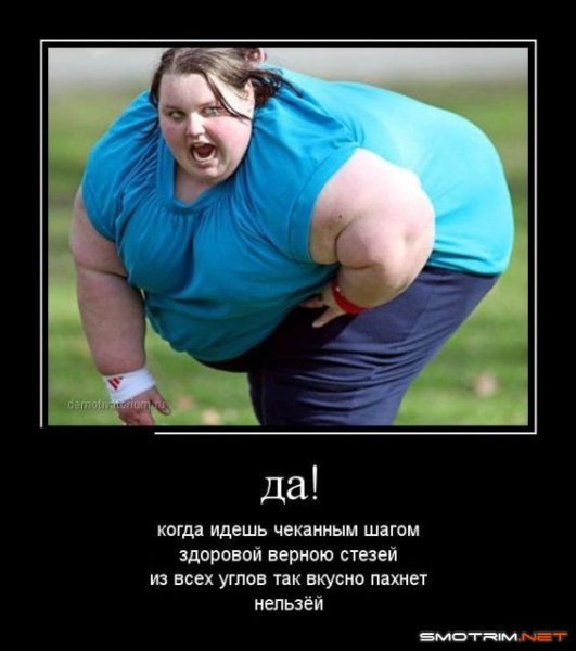 Шутки про толстых