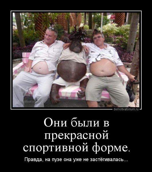Пивной живот демотиватор