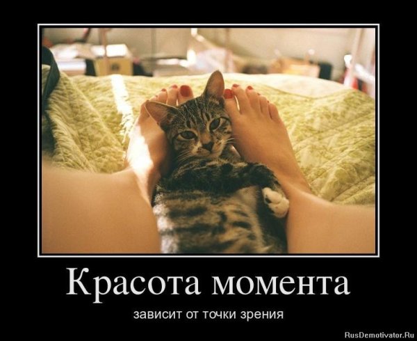 Приколы про красоту