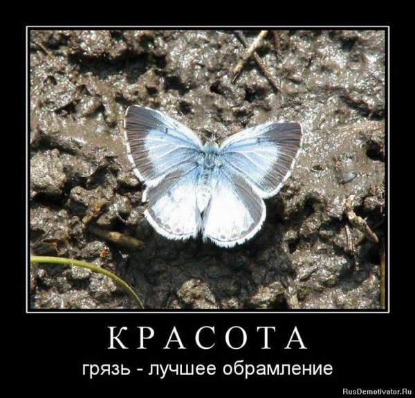 Красота демотиватор
