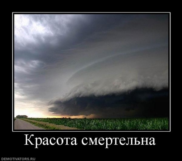 Красота демотиватор