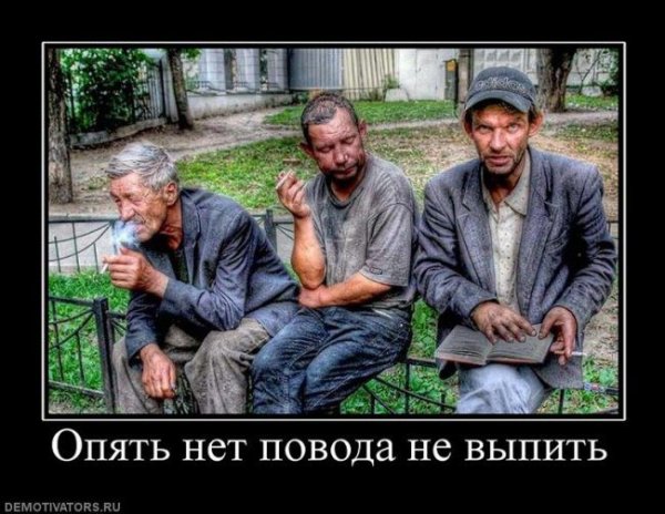 Демотиваторы про алкоголиков