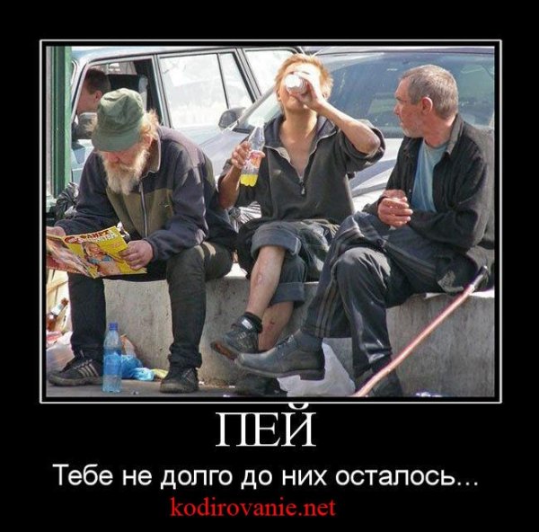 Демотиваторы про алкоголиков