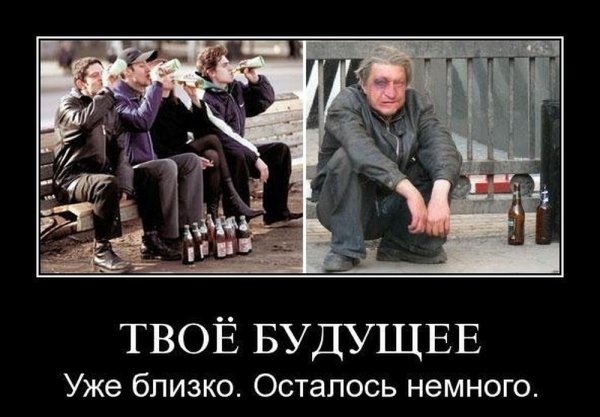 Демотиваторы про алкоголиков