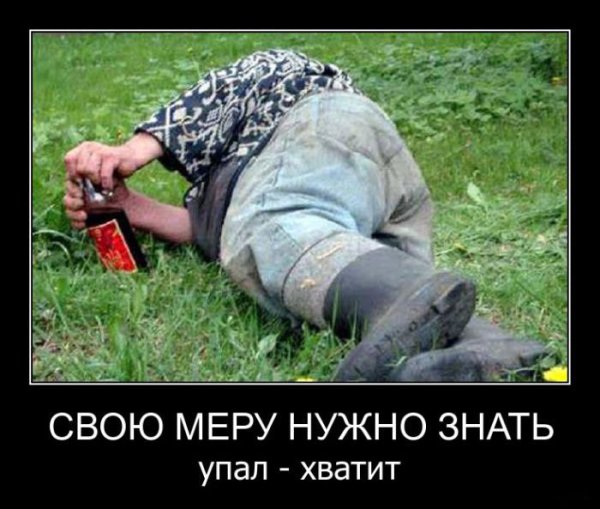 Демотиваторы про алкоголиков