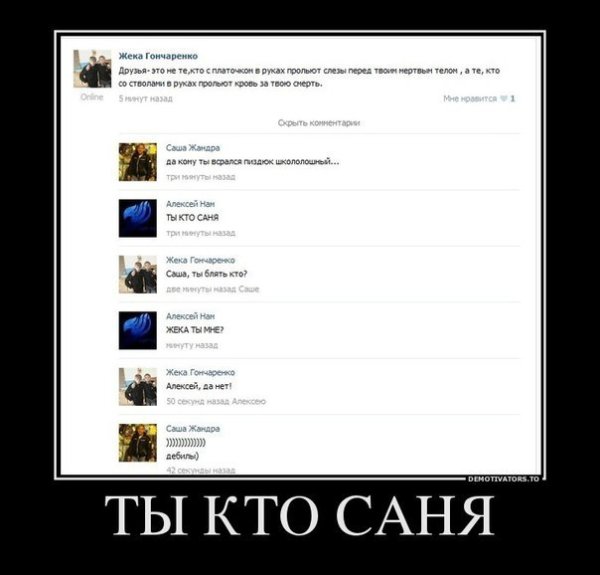 Демотиваторы про Саню