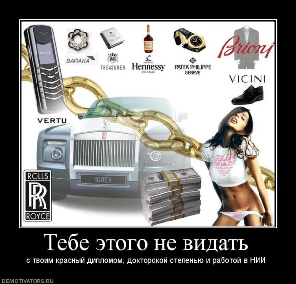 Золотая молодежь демотиватор