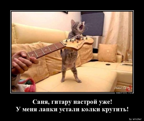 Демотиваторы про Саню