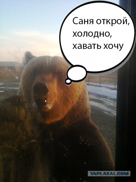 Сань Открой я замерз