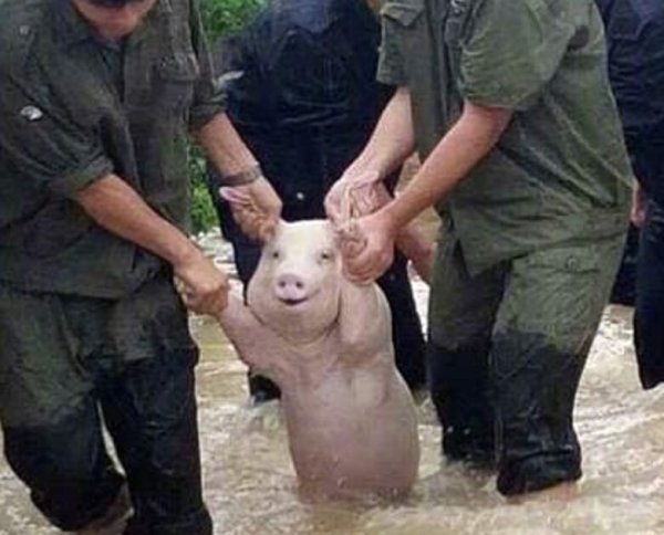 У каждого есть друг Сан