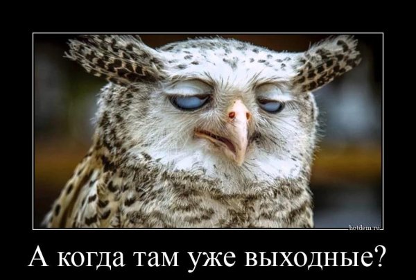 Завтра опять понедельник