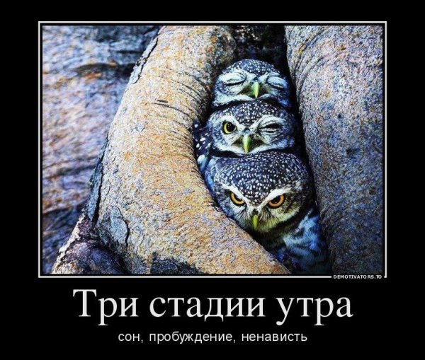 Демотиваторы с добрым утром