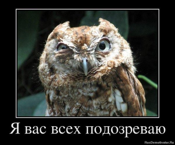 Я вас всех подозреваю Сова