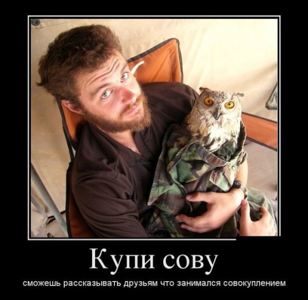 Сова демотиватор