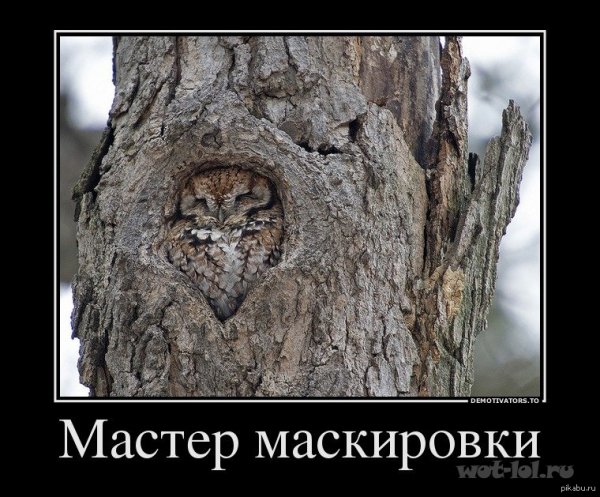 Маскировка прикол
