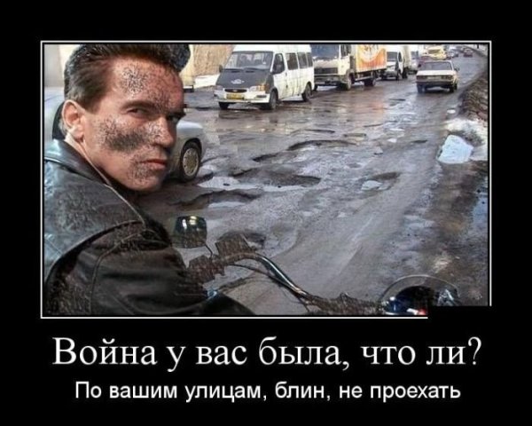 Демотиваторы с Арнольдом