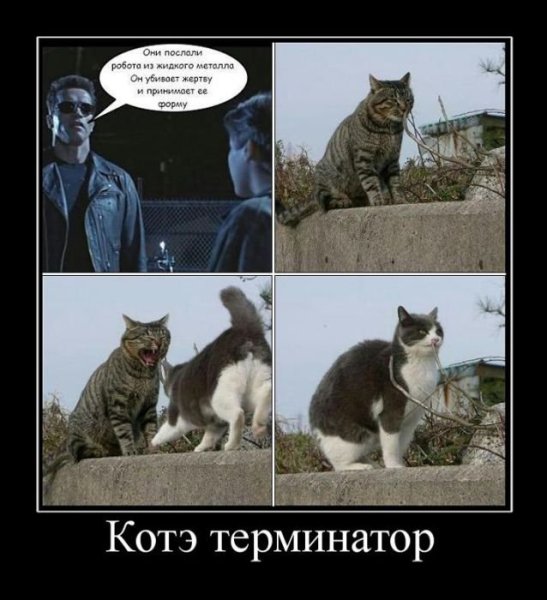 Терминатор приколы