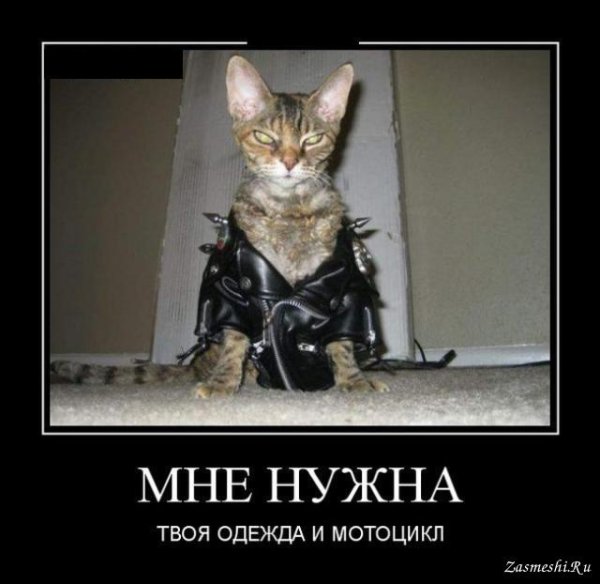 Жидкий Терминатор демотиватор