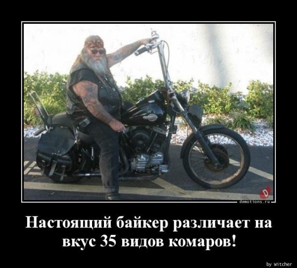 Шутки про байкеров