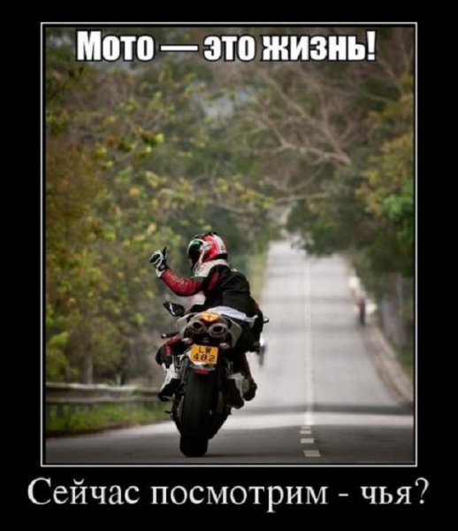 Цитаты мотоциклистов