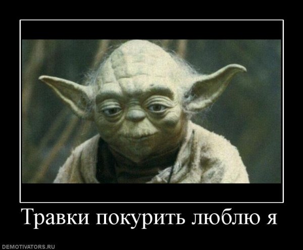 Йода Магистр демотиваторы
