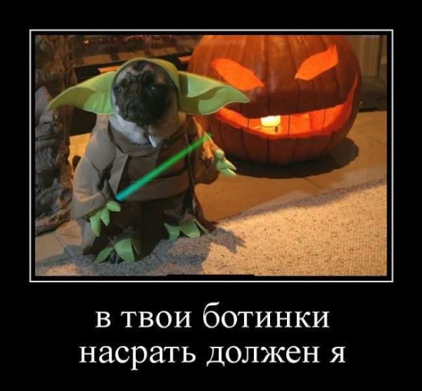 Магистр йода мемы