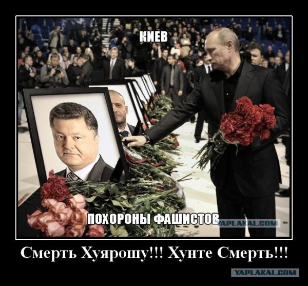 Бабка в гробу демотиватор