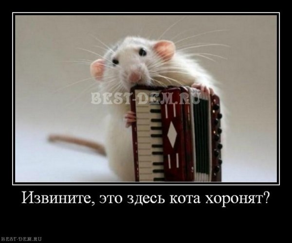 Викинги демотиваторы