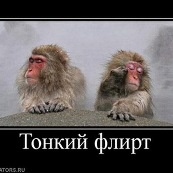 Легкий флирт демотиватор