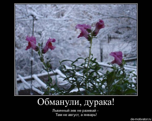 Первое апреля демотиваторы