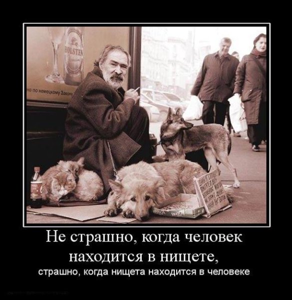 Нищие демотиваторы